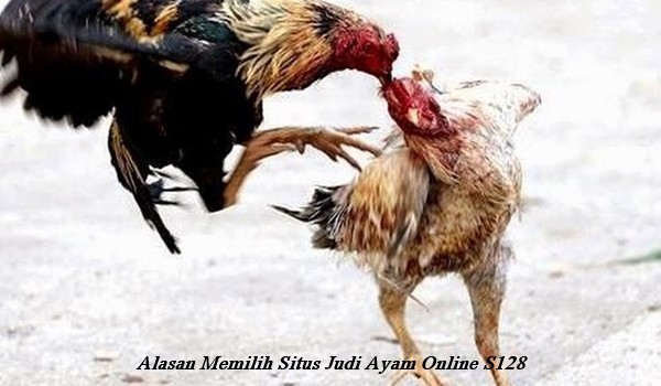 Alasan Memilih Situs Judi Ayam Online S128